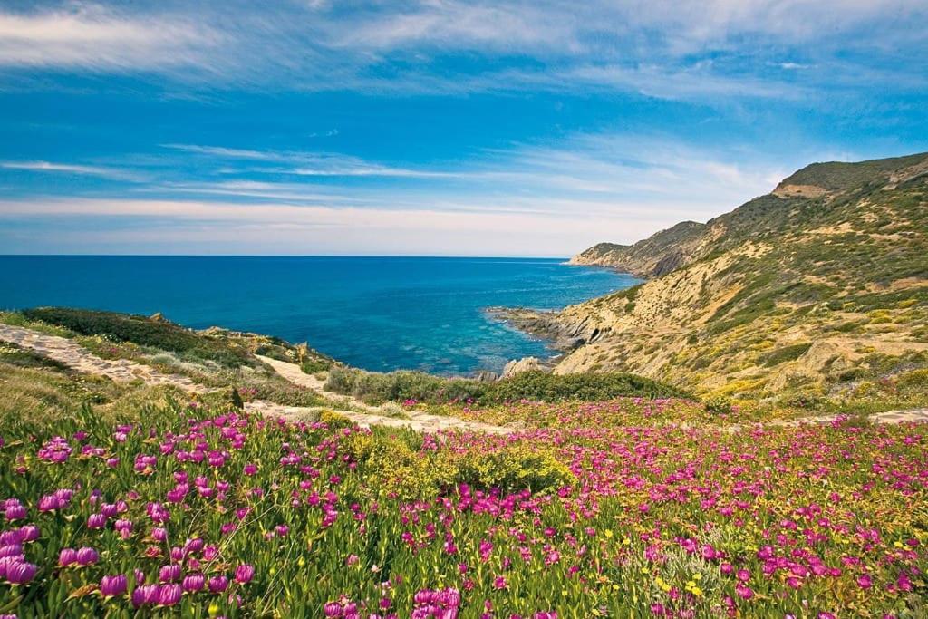Villa Del Porto La Terrazza Portoscuso Bagian luar foto